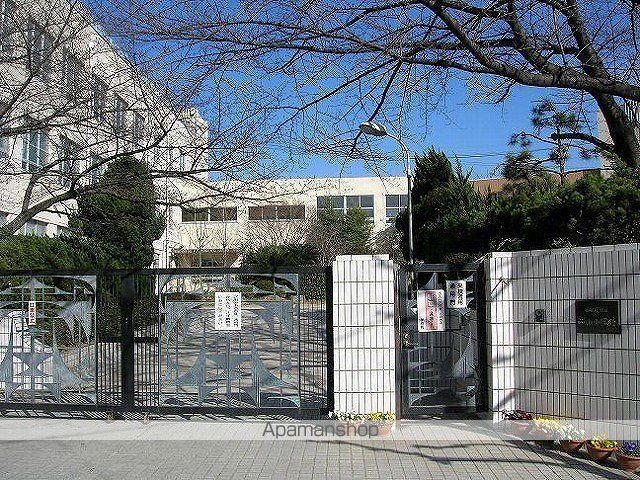 プリムローズの周辺写真