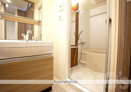 プレサンス錦ラウム[1LDK/39.92m2]の収納1