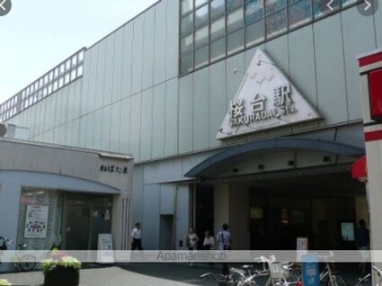 ダイヤモンドスクウェア桜台Ⅰ[1R/21.87m2]の周辺2