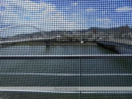 唐人荘[2LDK/56m2]の眺望