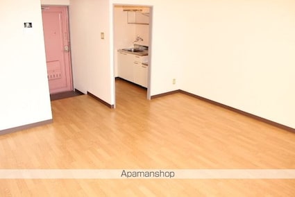 酒向第３ビル[1R/24.08m2]の内装1