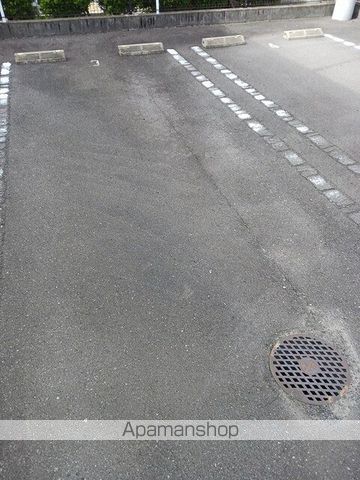 ニューコスモスのその他写真