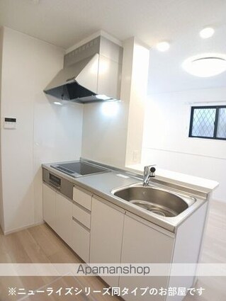 ラフィネⅢ[1LDK/50.01m2]のキッチン