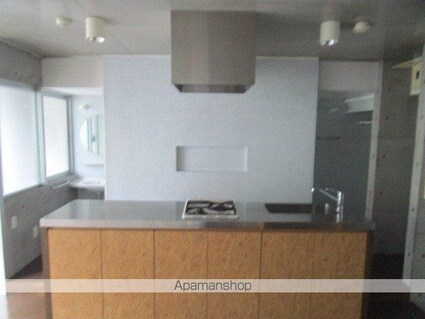 東京都中野区中央５丁目[1R/33.43m2]の内装4