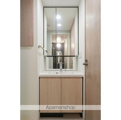 グランカーサ蒲田ウエスト[1LDK/39.4m2]の洗面所