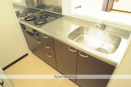 レオネクストパンプキン[1K/30m2]のキッチン