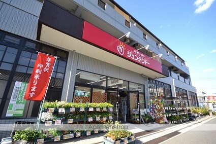 広島県広島市南区向洋新町１丁目[3LDK/77.13m2]の周辺10