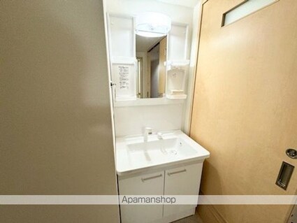 レジデンス・ジャパン３[2DK/45m2]の洗面所