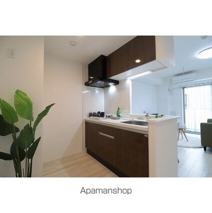 テラスミーレ文京弥生[1LDK/43.06m2]のキッチン