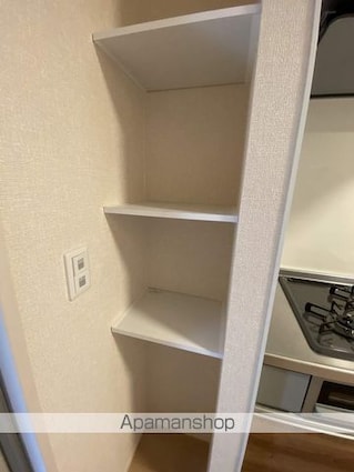 ｊｙｕｔｏ勝田台ⅣＢ棟[1K/29.02m2]の内装5