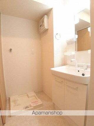 ヴェリテ・ヴィラージュ[1LDK/45.19m2]の洗面所