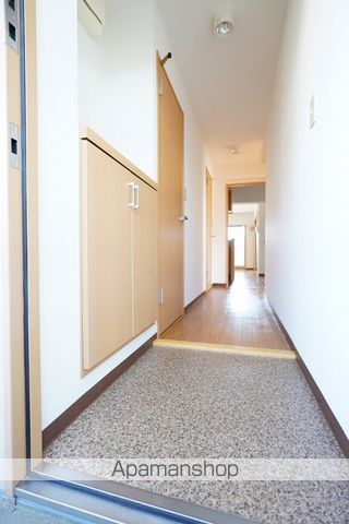 ハミングバードのその他写真
