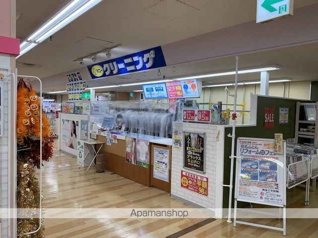 カンパニュラの周辺写真