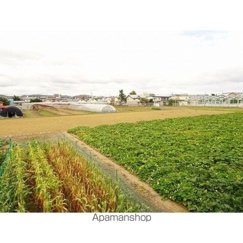 まほろば参番館[1LDK/36.65m2]の内装