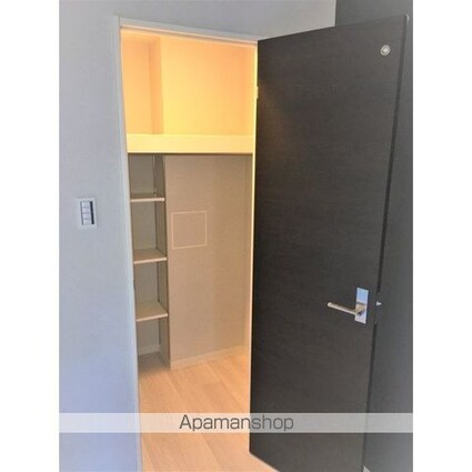 Ｂｒｉｌｌｉａｎｔ　Ｖｉｅｗ　Ｃｅｎｔｒａｌ　Ｐａｒｋ[1K/29.23m2]の収納