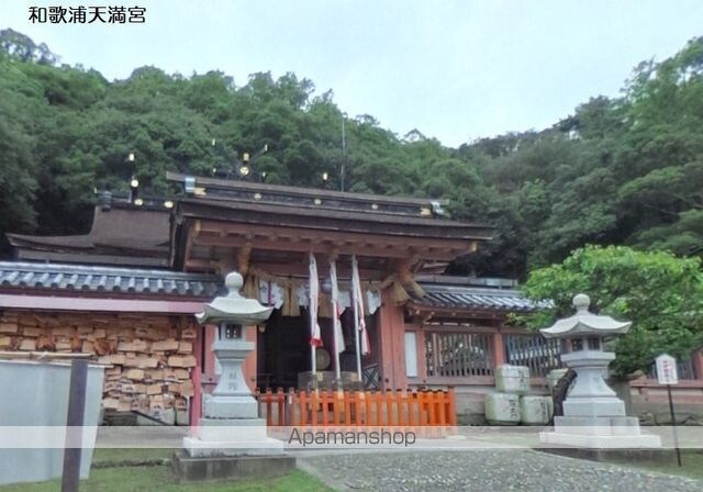 和歌山県和歌山市和歌浦南３丁目[1LDK/36.37m2]の周辺1