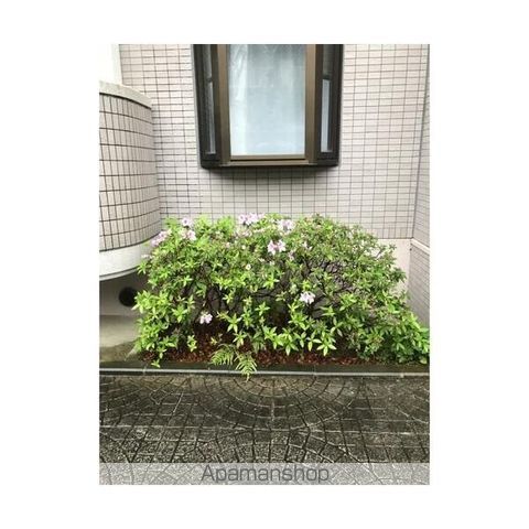 ベルヴェデーレIIの内装写真