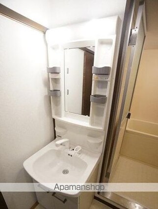 ノースポイントハイツ[2SDK/52.85m2]の洗面所