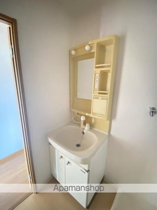 細谷マンション[2LDK/56.2m2]の洗面所