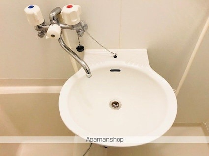 レオネクストスプリングヒル[1K/23.61m2]の洗面所