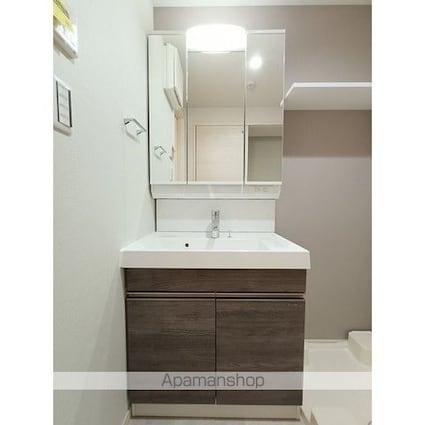 アルファコート谷在家[1LDK/41.86m2]の洗面所