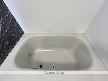 大阪府岸和田市加守町２丁目[1LDK/43.32m2]の内装