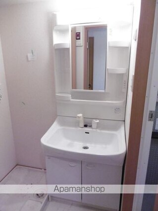 ベルメゾン新田東[2LDK/49.22m2]の洗面所