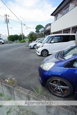 パステルグリーンのその他写真