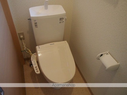 大道ハイツ[2LDK/53m2]のトイレ