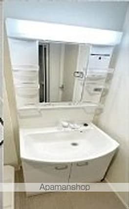 Ｍａｉｓｏｎ　Ｆｌｅｕｒ氷川台[1R/13.32m2]の洗面所
