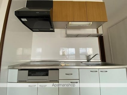 クリスタルパレス[2LDK/61.75m2]のキッチン