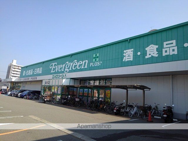 アナベルの周辺写真