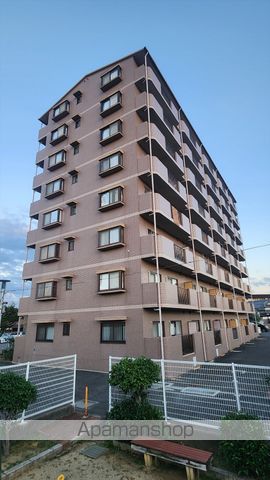 サンセール菊