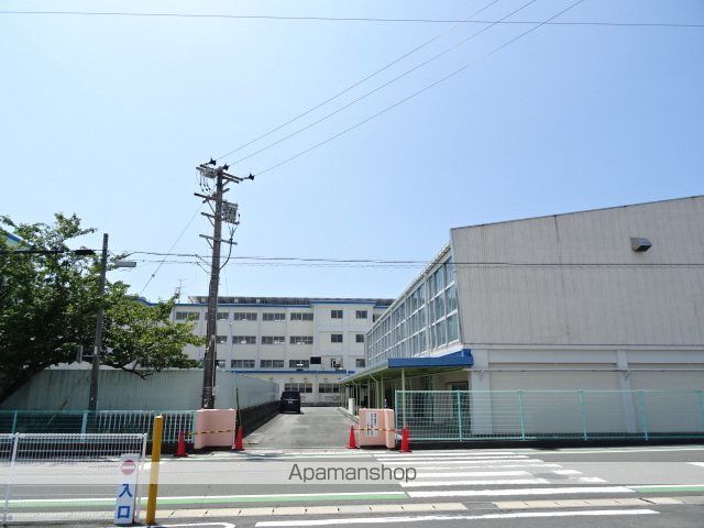 プラシードの周辺写真