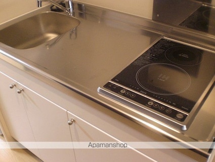 レオネクストプランドール石神井[1K/20.7m2]のキッチン