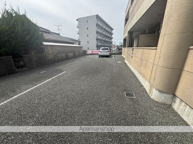 ガーベラ・テトラのその他写真