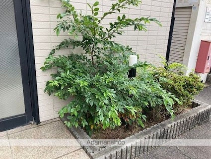 レオパレス新開[1K/24.84m2]の庭