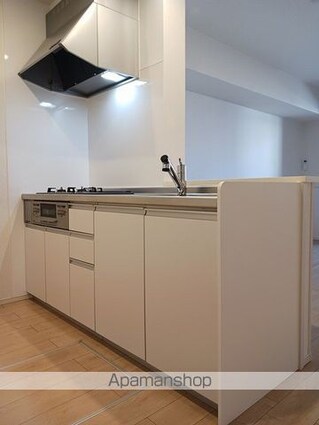 東京都八王子市大楽寺町[1LDK/48.35m2]のキッチン