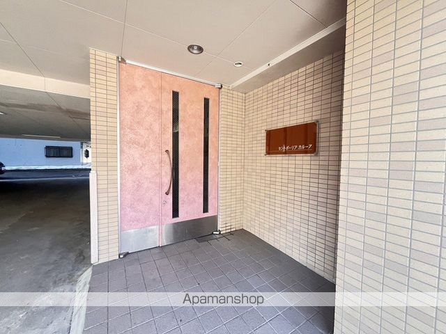 セントポーリアカルーアのその他写真