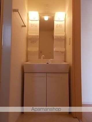 サンリット[2DK/45.89m2]の洗面所