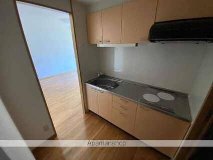 ＩＮＧーαＡＮＮＥＸ　イングアルファアネックス[1LDK/40.32m2]のキッチン