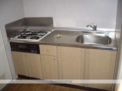 サンガーデンあい[2DK/52.44m2]のキッチン