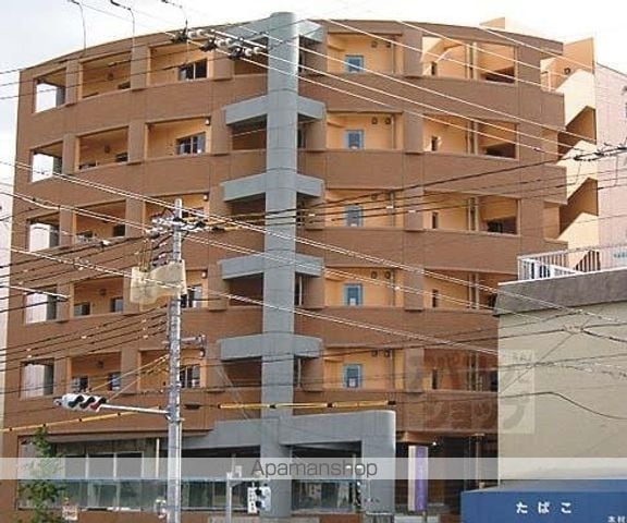 GATO D.M北山