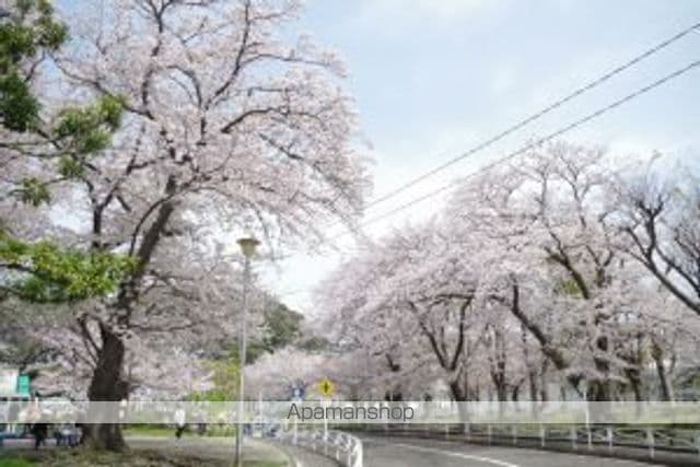 NOVELAの周辺写真