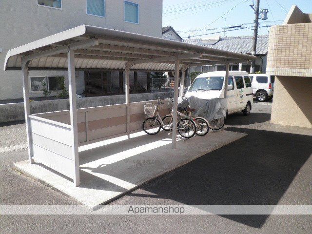 Y&Mデイジーのその他写真