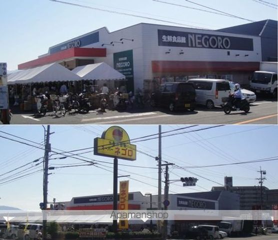 ディアスワーブラーの周辺写真