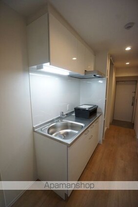 ＧｒａｎＶｉａ丸の内（グランヴィアマルノウチ）[1K/27.9m2]のキッチン