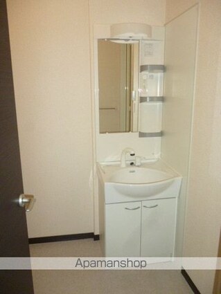 レオネクストマ　メゾン[1K/30.84m2]の洗面所