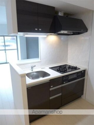 スカイガーデン錦糸町[1LDK/41.91m2]のキッチン