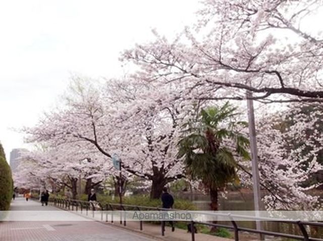 レオパレスアザレーア 101 ｜ 東京都練馬区石神井台２丁目2-15（賃貸アパート1K・1階・19.87㎡） その18